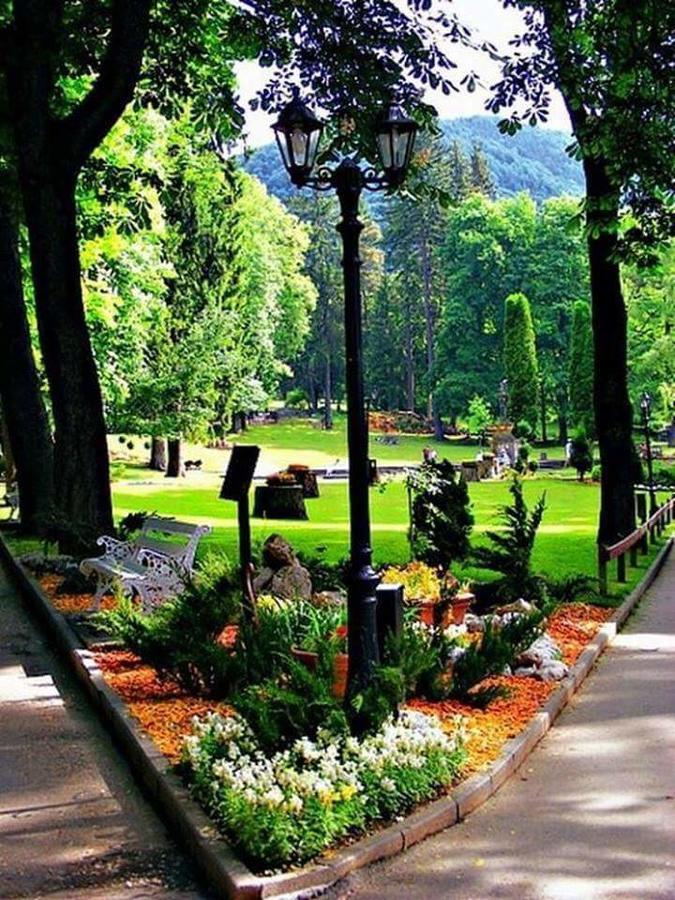 Residence Sinaia Apartments Экстерьер фото